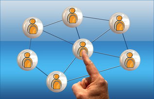 开云体育链接-体育新闻中心联合高校打造“体育+传媒”实践课程体系  第3张